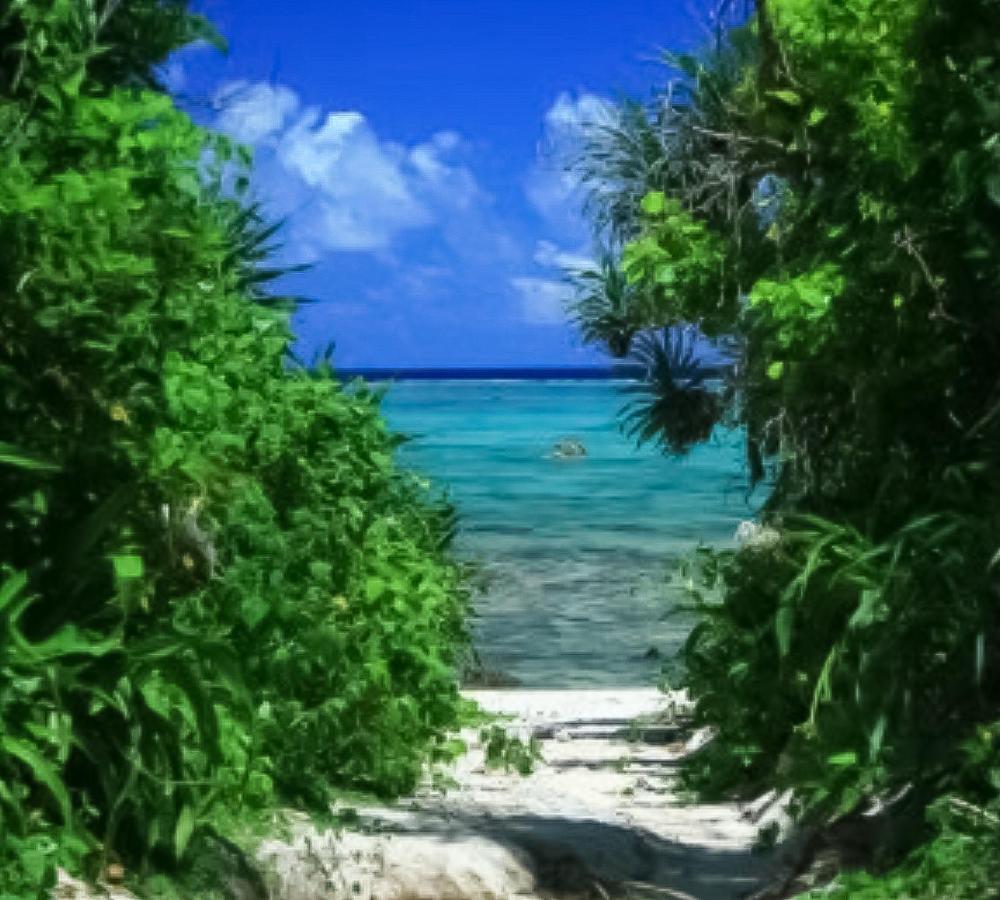 Palm Villa Ishigakijima Yugafu Ishigaki  Buitenkant foto